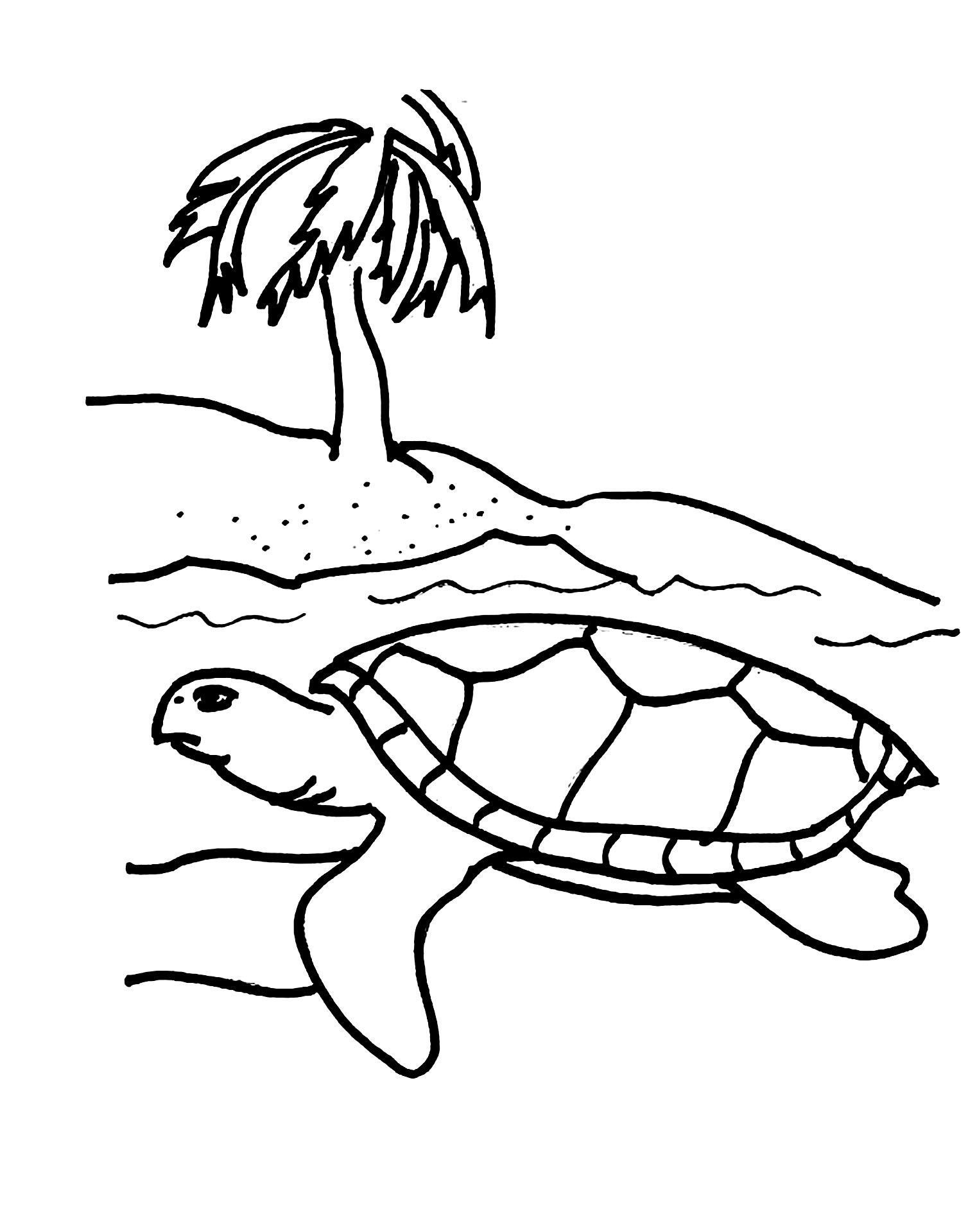 Save 60 Realistic Sea Turtle Coloring Page Ideas 12