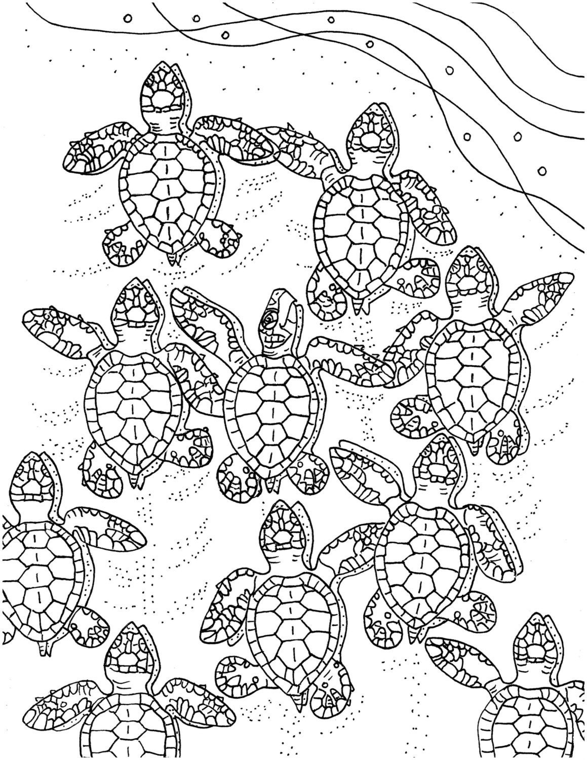 Save 60 Realistic Sea Turtle Coloring Page Ideas 2