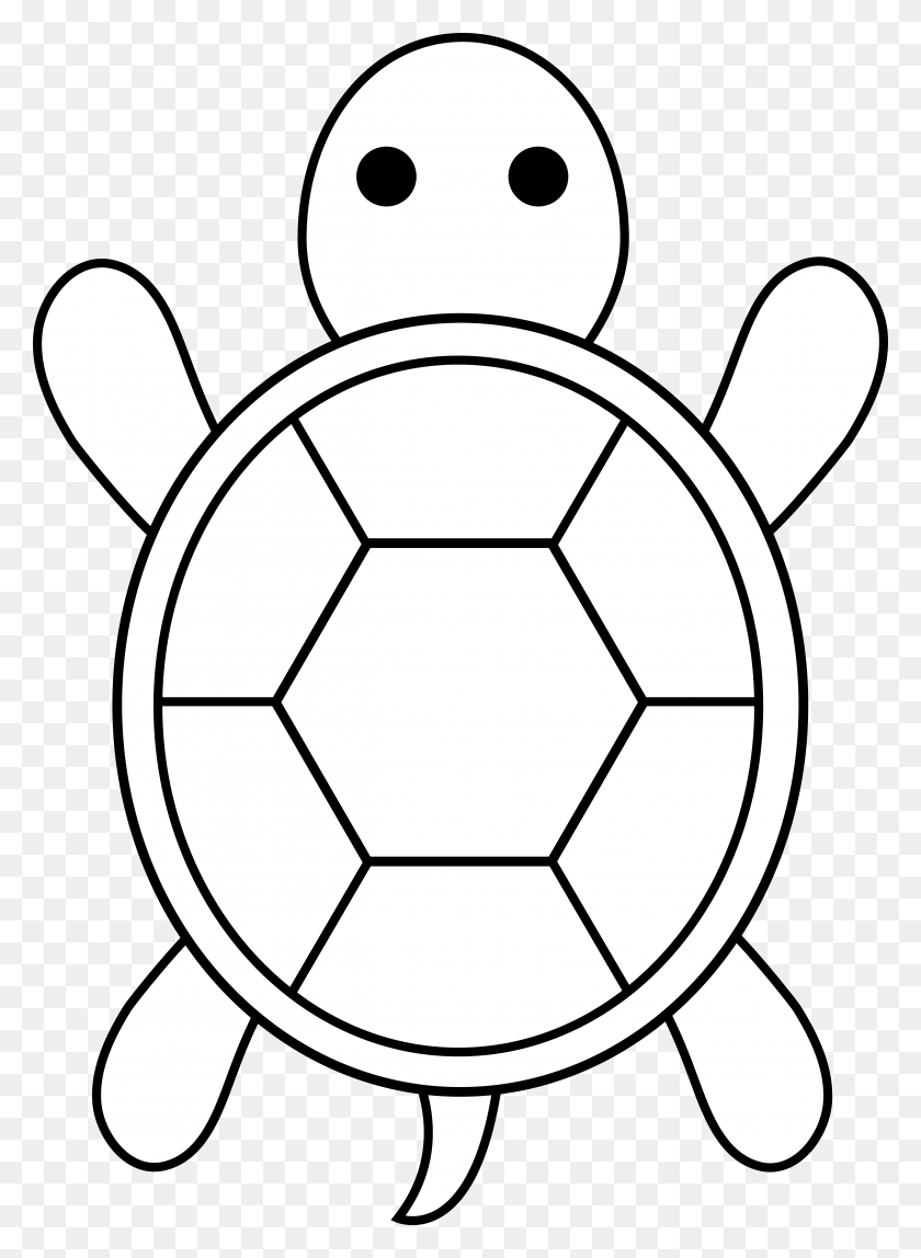 Save 60 Realistic Sea Turtle Coloring Page Ideas 20
