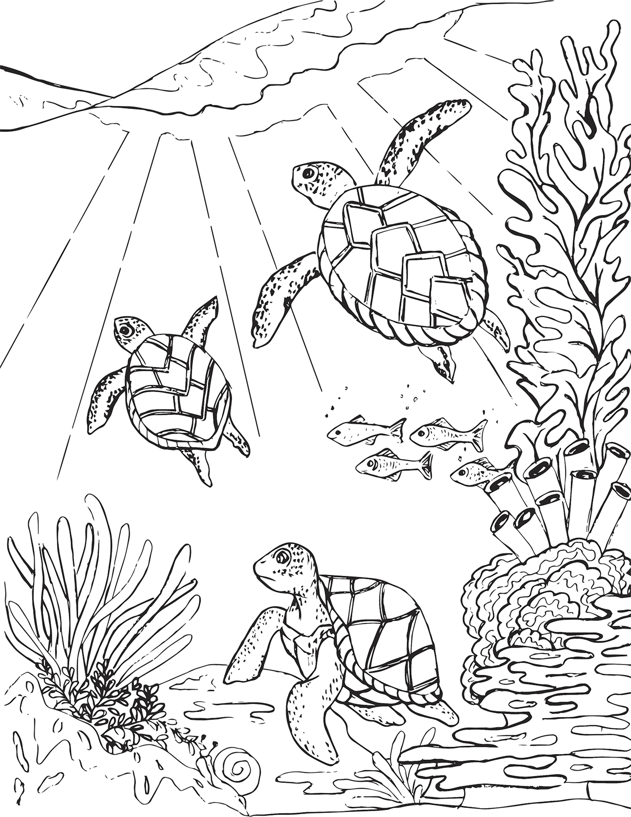 Save 60 Realistic Sea Turtle Coloring Page Ideas 3
