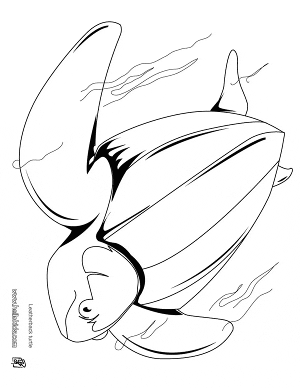 Save 60 Realistic Sea Turtle Coloring Page Ideas 31