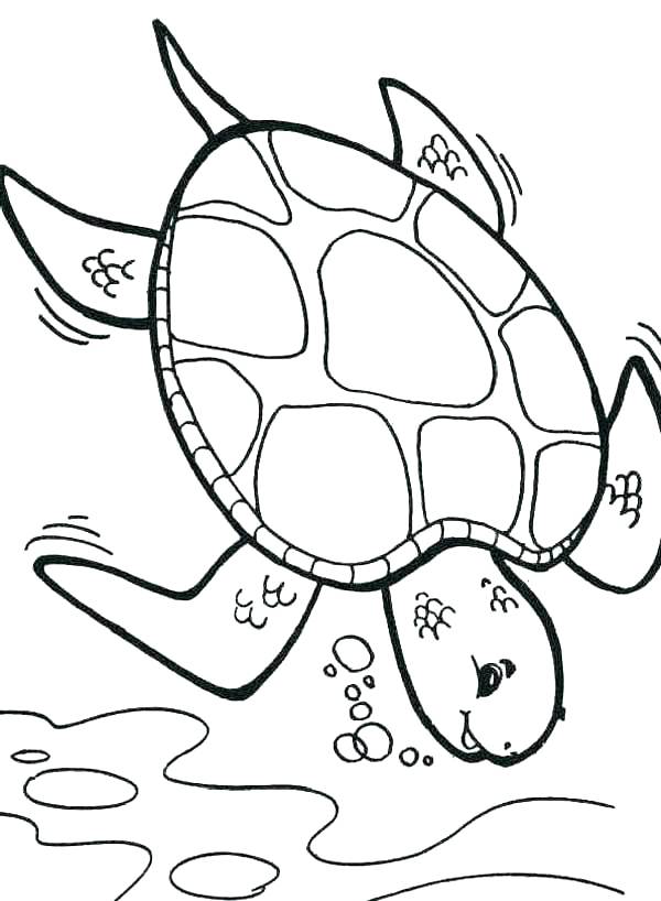 Save 60 Realistic Sea Turtle Coloring Page Ideas 33