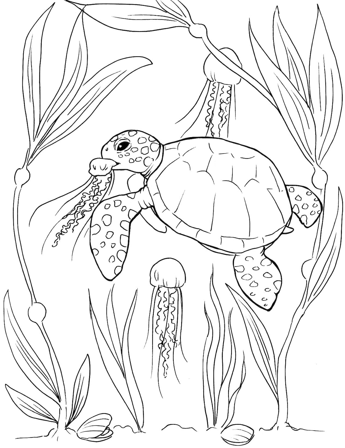Save 60 Realistic Sea Turtle Coloring Page Ideas 43