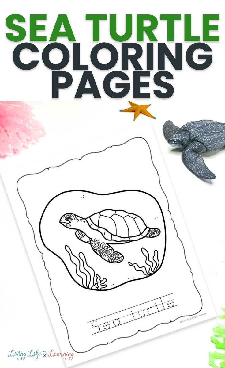 Save 60 Realistic Sea Turtle Coloring Page Ideas 5